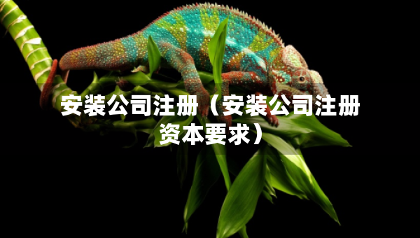 安裝公司注冊(cè)（安裝公司注冊(cè)資本要求）