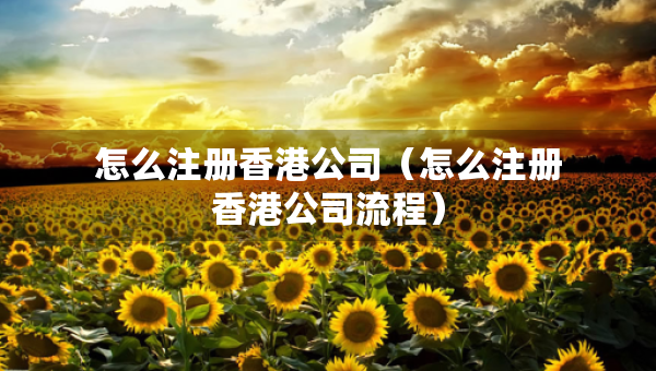 怎么注冊(cè)香港公司（怎么注冊(cè)香港公司流程）
