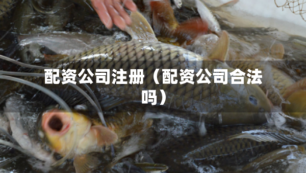 配資公司注冊(cè)（配資公司合法嗎）