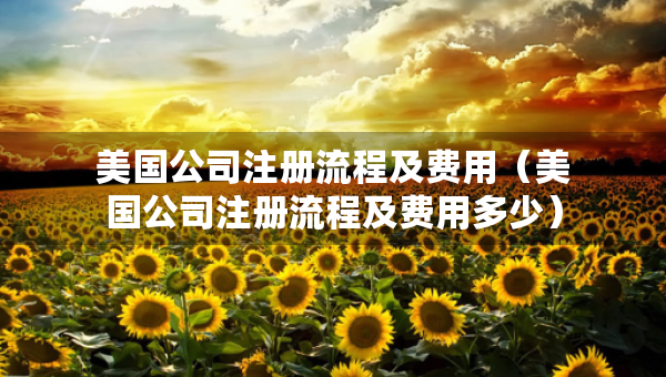 美國(guó)公司注冊(cè)流程及費(fèi)用（美國(guó)公司注冊(cè)流程及費(fèi)用多少）