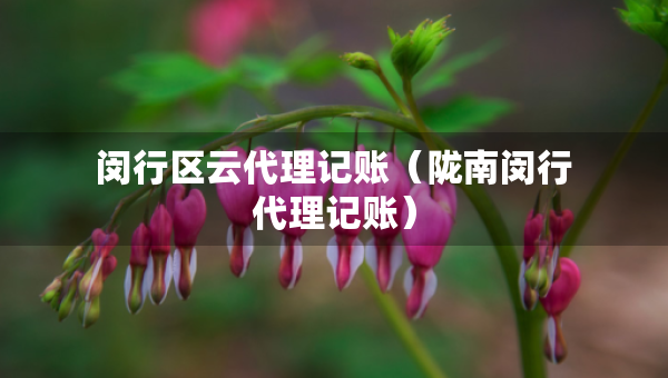 閔行區(qū)云代理記賬（隴南閔行代理記賬）