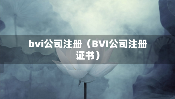 bvi公司注冊(cè)（BVI公司注冊(cè)證書(shū)）