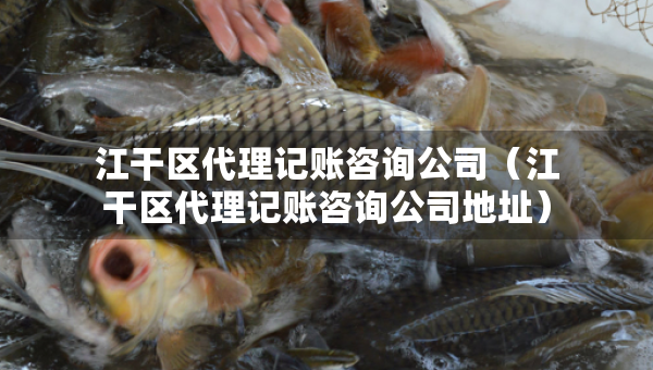 江干區(qū)代理記賬咨詢公司（江干區(qū)代理記賬咨詢公司地址）