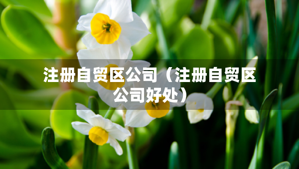 注冊(cè)自貿(mào)區(qū)公司（注冊(cè)自貿(mào)區(qū)公司好處）