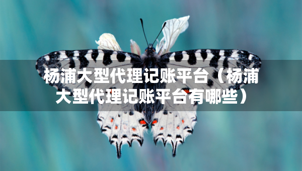 楊浦大型代理記賬平臺(tái)（楊浦大型代理記賬平臺(tái)有哪些）
