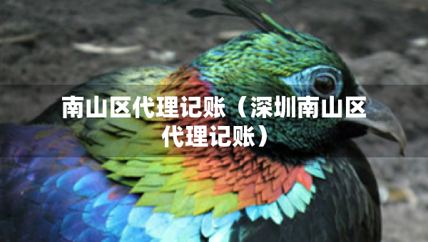 南山區(qū)代理記賬（深圳南山區(qū)代理記賬）
