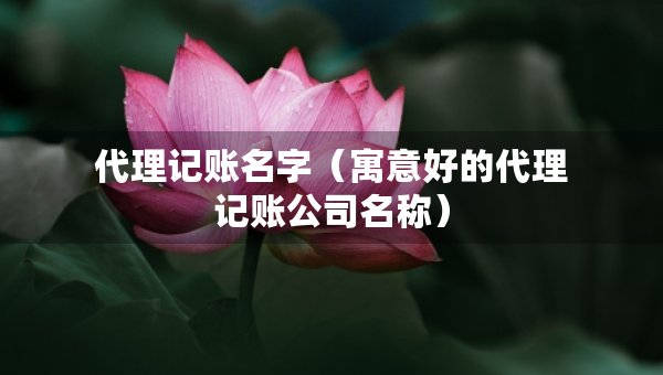 代理記賬名字（寓意好的代理記賬公司名稱）