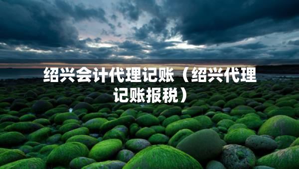 紹興會(huì)計(jì)代理記賬（紹興代理記賬報(bào)稅）