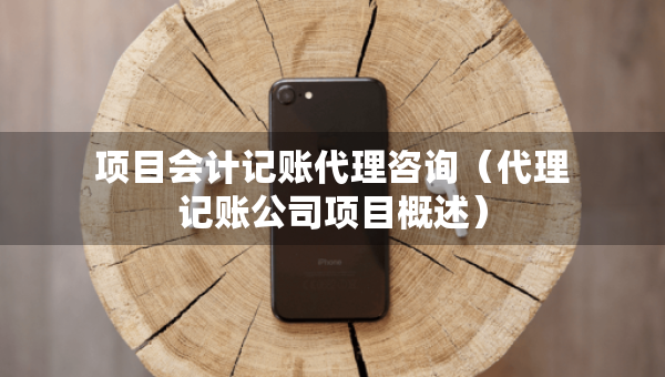 項(xiàng)目會計(jì)記賬代理咨詢（代理記賬公司項(xiàng)目概述）