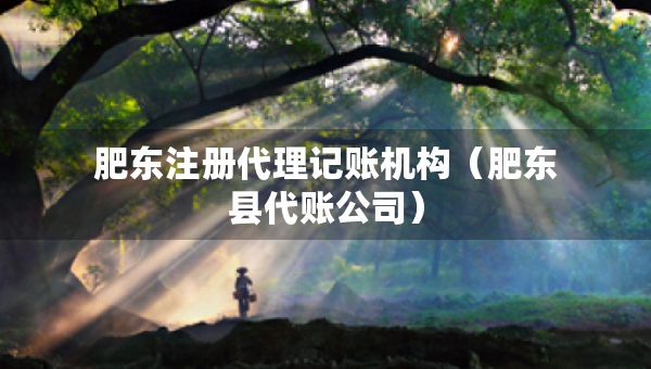 肥東注冊(cè)代理記賬機(jī)構(gòu)（肥東縣代賬公司）
