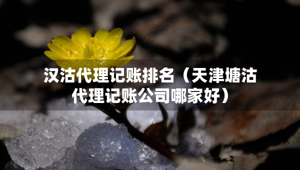 漢沽代理記賬排名（天津塘沽代理記賬公司哪家好）