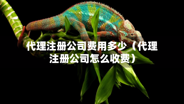 代理注冊公司費(fèi)用多少（代理注冊公司怎么收費(fèi)）
