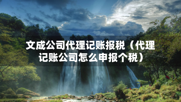 文成公司代理記賬報(bào)稅（代理記賬公司怎么申報(bào)個(gè)稅）
