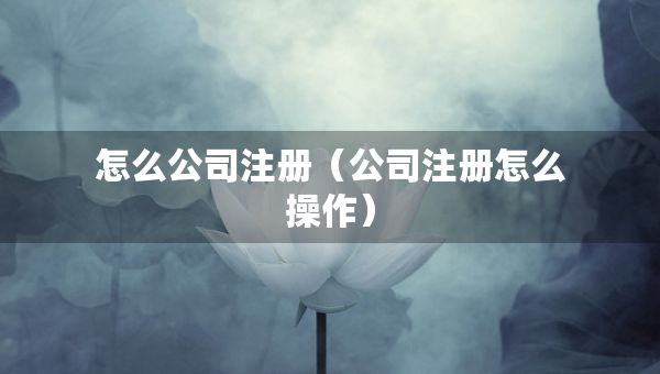 怎么公司注冊(cè)（公司注冊(cè)怎么操作）