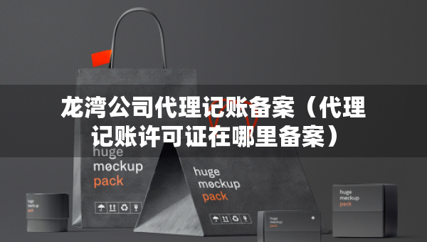 龍灣公司代理記賬備案（代理記賬許可證在哪里備案）