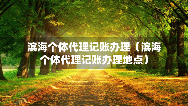 濱海個體代理記賬辦理（濱海個體代理記賬辦理地點）