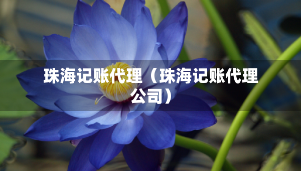 珠海記賬代理（珠海記賬代理公司）