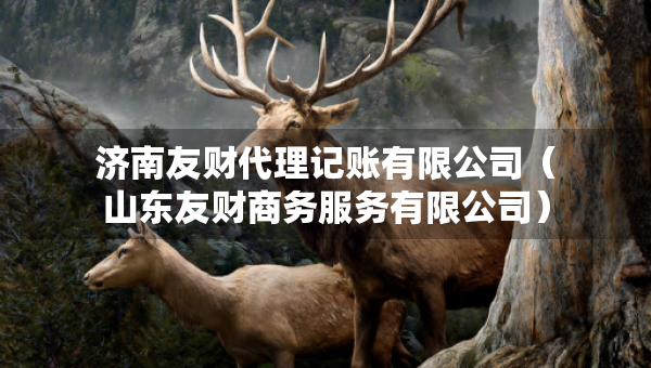 濟(jì)南友財(cái)代理記賬有限公司（山東友財(cái)商務(wù)服務(wù)有限公司）