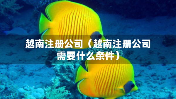 越南注冊公司（越南注冊公司需要什么條件）