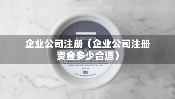 企業(yè)公司注冊（企業(yè)公司注冊資金多少合適）