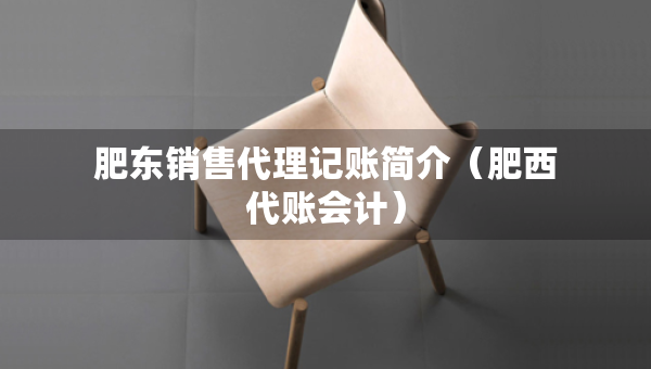肥東銷售代理記賬簡介（肥西代賬會(huì)計(jì)）