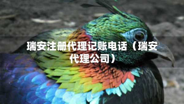 瑞安注冊代理記賬電話（瑞安代理公司）