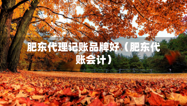 肥東代理記賬品牌好（肥東代賬會計(jì)）