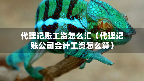 代理記賬工資怎么匯（代理記賬公司會(huì)計(jì)工資怎么算）