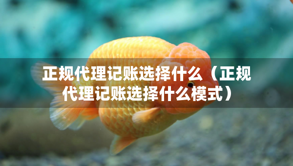 正規(guī)代理記賬選擇什么（正規(guī)代理記賬選擇什么模式）