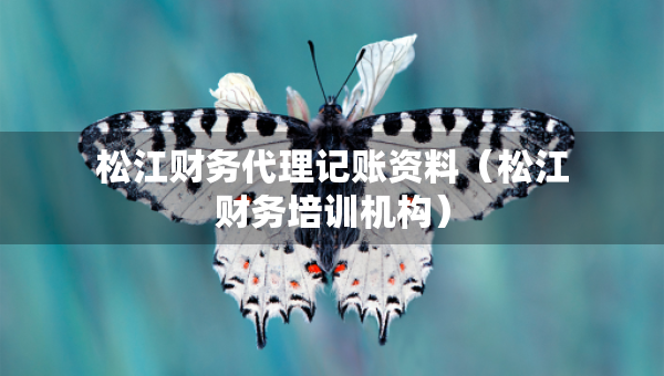 松江財務(wù)代理記賬資料（松江財務(wù)培訓(xùn)機構(gòu)）