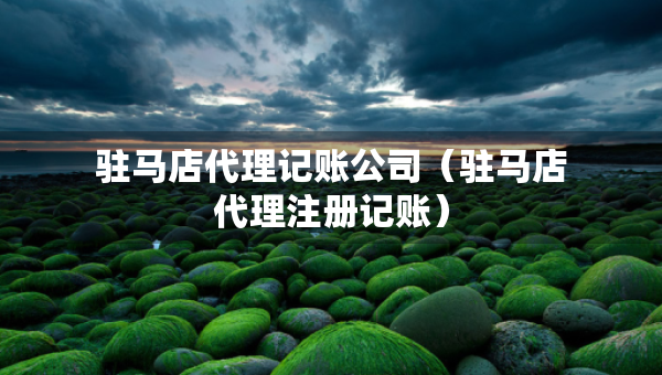 駐馬店代理記賬公司（駐馬店代理注冊記賬）