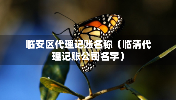 臨安區(qū)代理記賬名稱（臨清代理記賬公司名字）