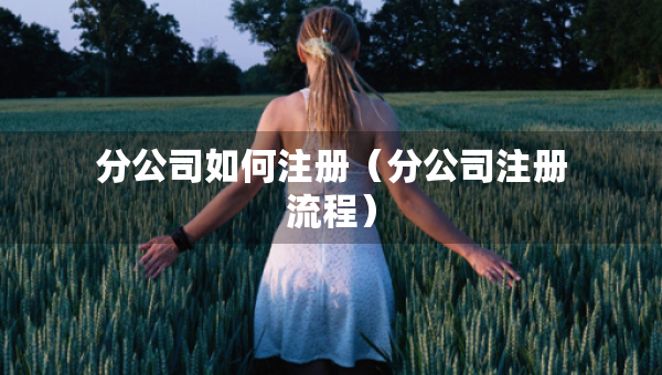 分公司如何注冊（分公司注冊流程）