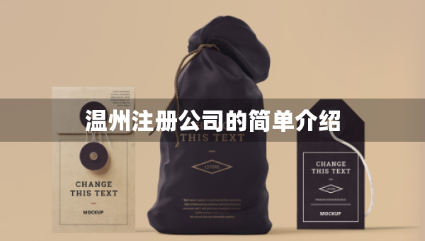 溫州注冊公司的簡單介紹