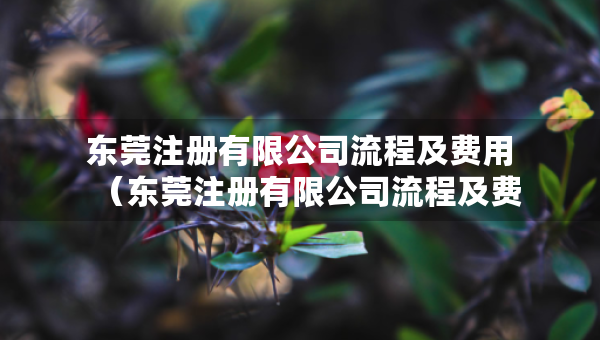 東莞注冊有限公司流程及費用（東莞注冊有限公司流程及費用表）