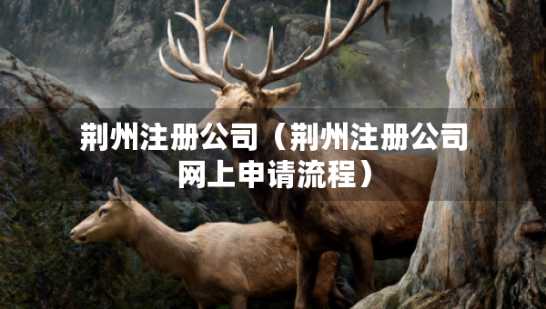 荊州注冊公司（荊州注冊公司網(wǎng)上申請流程）