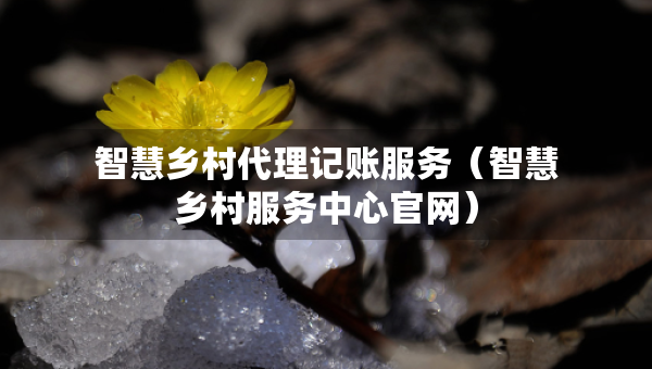 智慧鄉(xiāng)村代理記賬服務（智慧鄉(xiāng)村服務中心官網）