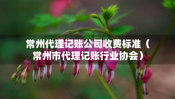 常州代理記賬公司收費標準（常州市代理記賬行業(yè)協(xié)會）