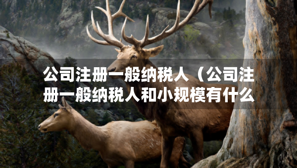 公司注冊(cè)一般納稅人（公司注冊(cè)一般納稅人和小規(guī)模有什么不一樣）