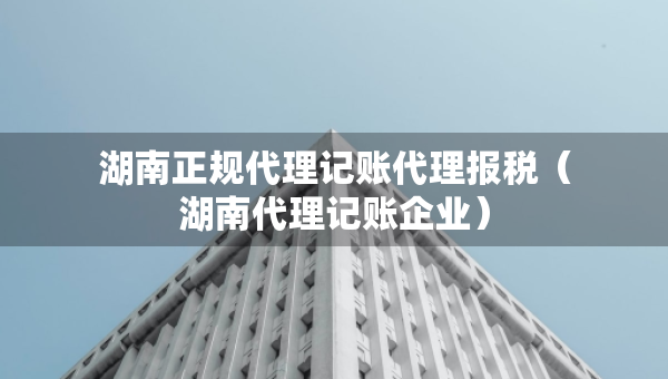 湖南正規(guī)代理記賬代理報稅（湖南代理記賬企業(yè)）