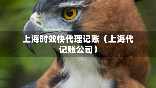上海時效快代理記賬（上海代記賬公司）