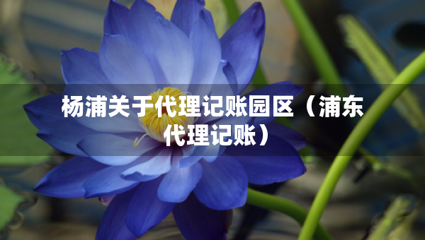 楊浦關(guān)于代理記賬園區(qū)（浦東 代理記賬）
