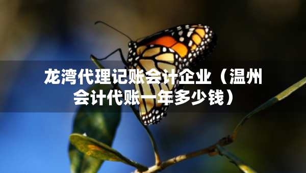 龍灣代理記賬會(huì)計(jì)企業(yè)（溫州會(huì)計(jì)代賬一年多少錢）