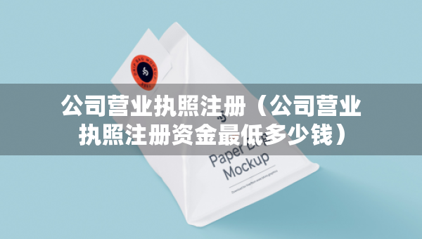 公司營業(yè)執(zhí)照注冊（公司營業(yè)執(zhí)照注冊資金最低多少錢）