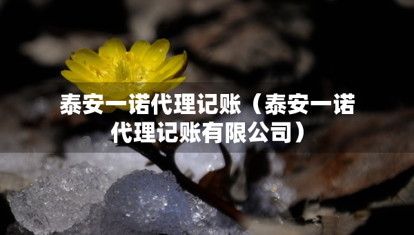 泰安一諾代理記賬（泰安一諾代理記賬有限公司）