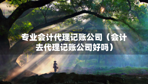 專業(yè)會(huì)計(jì)代理記賬公司（會(huì)計(jì)去代理記賬公司好嗎）