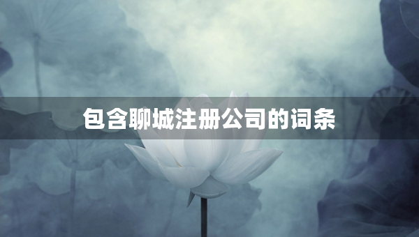包含聊城注冊公司的詞條