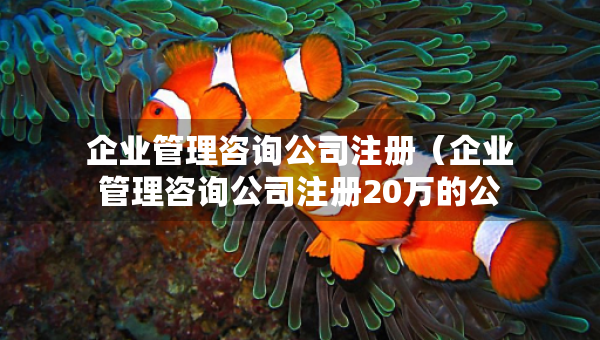 企業(yè)管理咨詢公司注冊（企業(yè)管理咨詢公司注冊20萬的公司算小公司嗎）