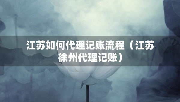江蘇如何代理記賬流程（江蘇徐州代理記賬）