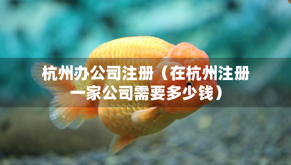 杭州辦公司注冊(cè)（在杭州注冊(cè)一家公司需要多少錢）